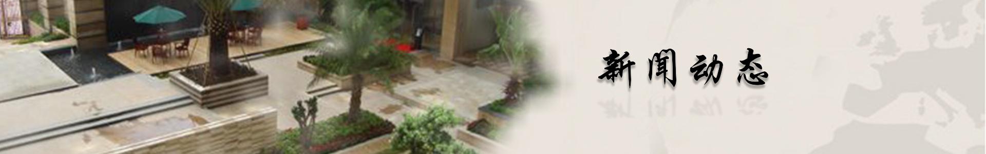 新聞動態(tài)